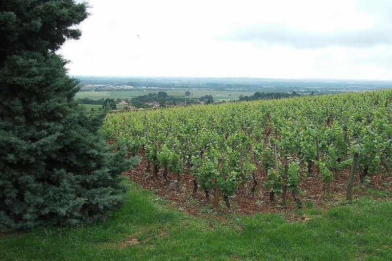 2010-06- (25).JPG